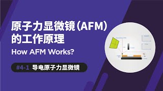 导电原子力显微镜 | 原子力显微镜如何运作 | Conductive AFM | How AFM Works