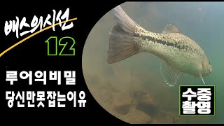 배스낚시!  당신이 배스를 잡지 못하는 이유 ★ 배스의 시선 12탄  루어의비밀