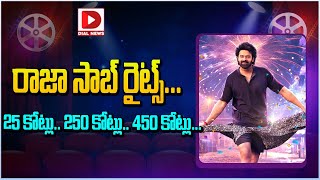 రాజా సాబ్ రైట్స్... 25 కోట్లు, 250 కోట్లు, 450 కోట్లు || Raja Saab Rites || Prabhas || Dial Telugu