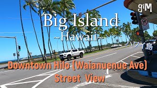 Downtown Hilo (Waianuenue Ave) - Hawaii Big Island (Town/Homes ) ハワイ島 (町 /家）