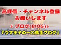 【pog2022 23】友道厩舎の注目2歳馬まとめ