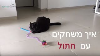 איך משחקים נכון עם חתולים   איך לשחק במשחק חכה