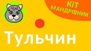 Кіт-мандрівник - Тульчин. Палац Потоцьких