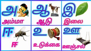 Uyireluthukkal/உயிர் எழுத்துக்கள்/அ முதல் ஃ வரை உள்ள எழுத்துக்கள்/Tamil Alphabets /அஆஇஈஉஊ