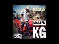 Master Kg | Drum Master