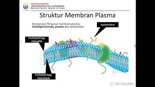 Biomedik: Biologi Sel