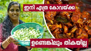 Kovakka Achar & Kovakka Kondattam Recipe in Malayalam | കോവയ്ക്ക അച്ചാർ കോവയ്ക്ക കൊണ്ടാട്ടം