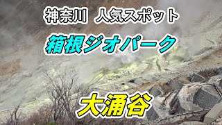 神奈川 箱根 人気スポット「箱根ジオパーク 大涌谷」