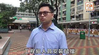 探射燈：防鼠擋安裝失當　老鼠公屋亂闖