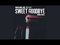 robin schulz sweet goodbye disco s hit remix