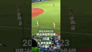 【東京音頭】7回裏(東京ヤクルトスワローズ) #セリーグ #プロ野球 #明治神宮球場 #東京ヤクルトスワローズ #応援歌 #東京音頭