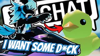Furry VRChat in a Nutshell 12