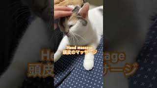 頭皮のマッサージ Head massage #shorts