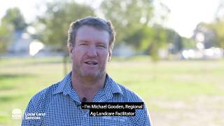 Planting a multi species cover crop