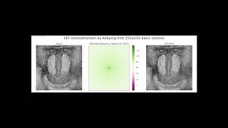Fast Fourier Transform | divide & conquer | Algorithm | 1D & 2D | python