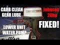 Johnson 20hp - Carb Clean, Lower Unit, Water Pump, Idle Adjustment (FIXED)