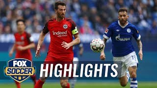 FC Schalke 04 vs. Eintracht Frankfurt | 2019 Bundesliga Highlights