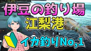 【江梨港】伊豆釣り場紹介 網干場！昔から有名なイカ釣り実績No,1だった！