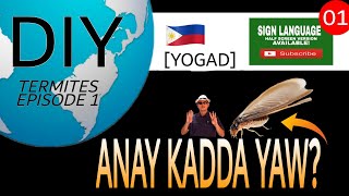 YOGAD ANAY EP 01