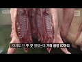 자막뉴스 마트 돼지고깃값 인상 조짐…정부 “공급여력 충분” kbs뉴스 news