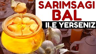 1 Hafta Boyunca Sarımsak ve Bal Karışımı Yerseniz | Bal Ve Sarımsak Karışımı Faydaları Nelerdir?