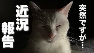 近況報告です！【Crib channel最近のこと】