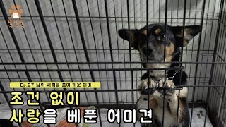 Ep.27 남의 새끼를 품어 키운 어미