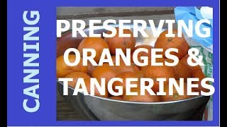 HOMESTEAD CANNING - Preserving Tangerines \u0026 Oranges