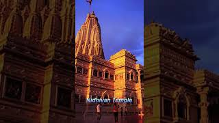 Vrindavan:Explore the best temples in Vrindavan abode 🇮🇹 #vrindavantemples #krishnaleela #travel