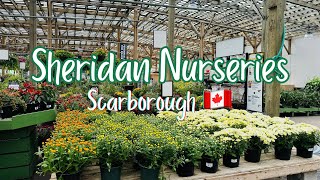 Sheridan Nurseries Toronto | Scarborough 🇨🇦| garden centers in Canada #gardencenter