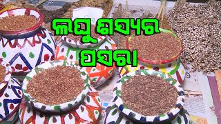 କୃଷି ଓଡ଼ିଶାରେ ପୁଷ୍ଟି ଶସ୍ୟର ଅନେକ ଷ୍ଟଲ | Millet Stalls at Exhibition