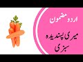 My Favourite Vegetable Essay in Urdu || اردو مضمون : میری پسندیدہ سبزی