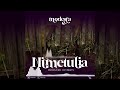 Modesta - Nimetulia Official Audio