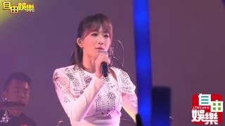 朱俐靜演唱會20170506(記者王文麟攝)