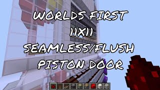 Worlds First 11x11 S/F Piston Door