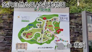 【4K】神奈川県 横浜市 金沢動物園 お薦めの動物園 / JAPAN 2021 Yokohama KANAZAWA ZOO/