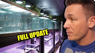 FULL aquarium gallery update - The king of DIY