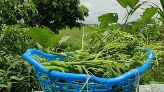 पहाड़ी कद्दू के टूको की भुर्जी, जो खाये वह इसको कभी भूल ना पाये##