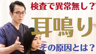 【耳鳴り/Tinnitus】検査で異常なしでも治らない本当の原因とは？｜兵庫県西宮市の自律神経専門整体院 くすのき整体院