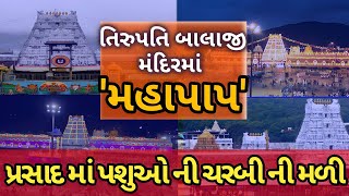 દેશના પ્રખ્યાત તિરુપતિ બાલાજી મંદિરમાં પ્રસાદ તરીકે આપવામાં આવતા લાડુમાં પશુઓની ચરબી ની ભેળસેળ મળી