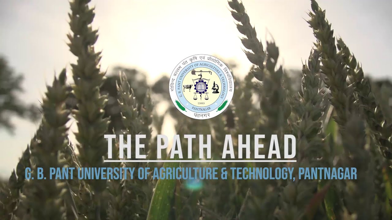 The Path Ahead | G B Pant University Of Agriculture & Technology ...