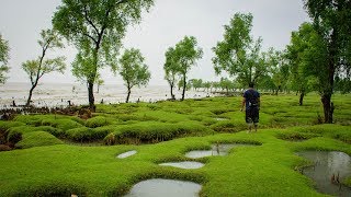 গুলিয়াখালি সমুদ্রসৈকত, সীতাকুণ্ড, চট্টগ্রাম । Guliakhali Sea Beach, Shitakundo, Chittagong.