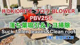 【笠原鉄工所】共立KIORITZブロワPBV256で落ち葉吸引＆トヨ掃除