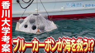 【天然生け簀を復活！】香川大学による藻場再生プロジェクトの成果と展望 日本財団 海と日本PROJECT in かがわ 2023 #017