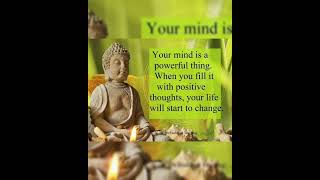 Buddha Quotes || Life Quotes