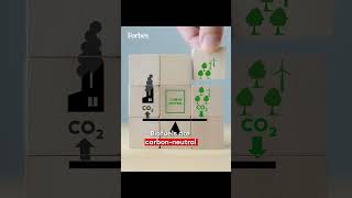 Unlocking Sustainable Energy: Biomass Transformation As A Key To Carbon Neutrality