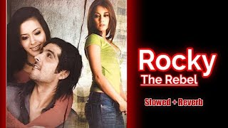 My Love For You - (Slowed + Reverb) Film - Rocky - The Rebel | Himesh Reshammiya