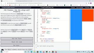 Tutorial 17th - using align self property to align each item - free code camp (Explained)