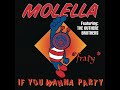 Molella Featuring The Outhere Brothers – If You Wanna Party (Aladino Radio Mix) (1995)