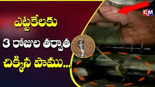 ఎట్టకేలకు 3 రోజుల అనంతరం చిక్కిన పాము  || CMTV